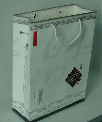 ZY-CBAP057 供应纸质促销礼品袋 手提袋 - ZY-CBAP057 供应纸质促销礼品袋 手提袋厂家 - ZY-CBAP057 供应纸质促销礼品袋 手提袋价格 - 苍南县政宇纸制品 - 